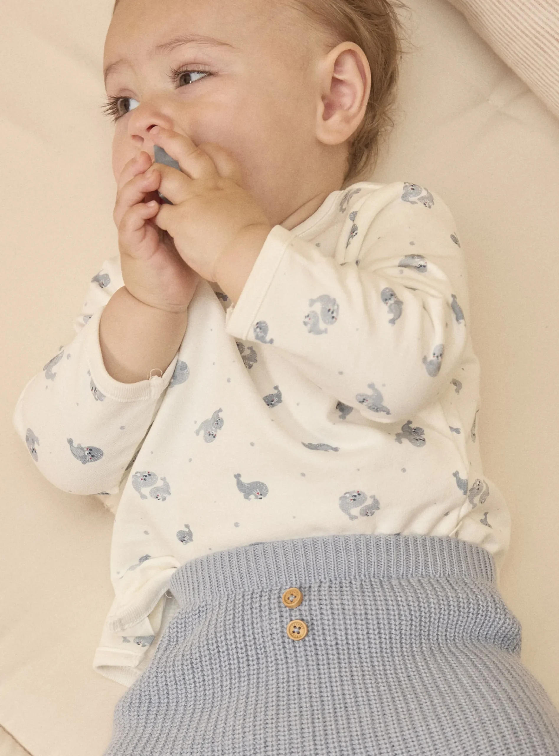 Suits And Ensembles-Sergent Major Greyish blue SET