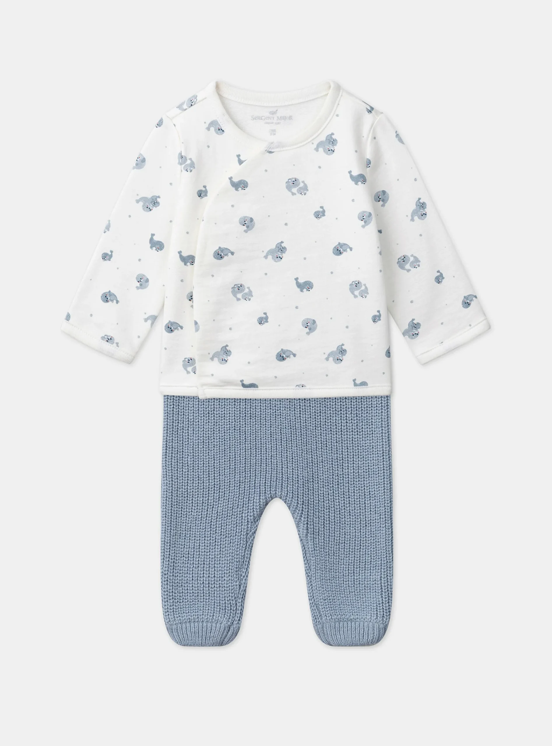 Suits And Ensembles-Sergent Major Greyish blue SET