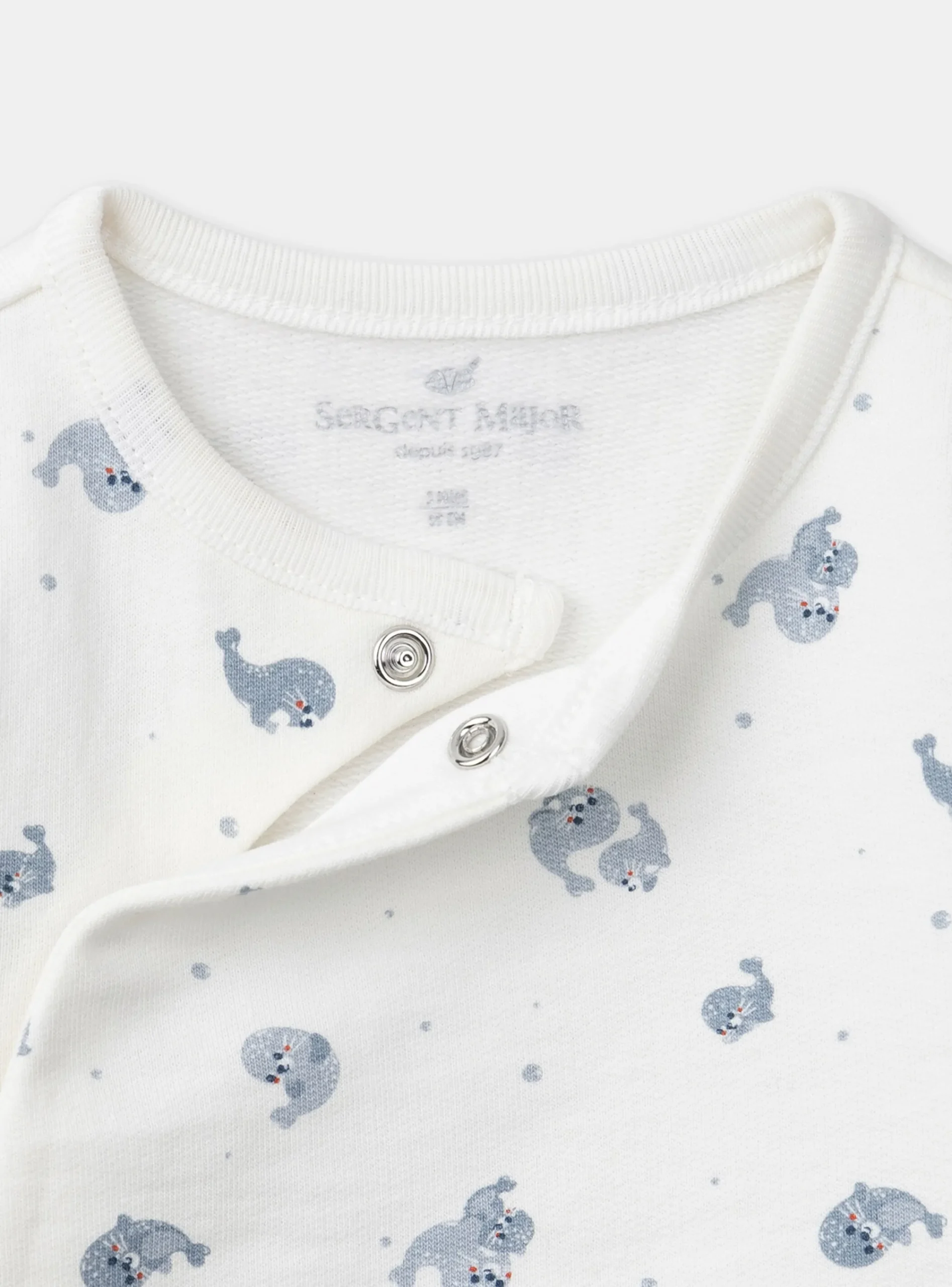 Suits And Ensembles-Sergent Major Greyish blue SET